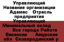 Управляющий › Название организации ­ Адамас › Отрасль предприятия ­ Управляющий › Минимальный оклад ­ 40 000 - Все города Работа » Вакансии   . Амурская обл.,Сковородинский р-н